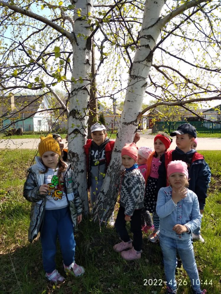 Экологическая тропа